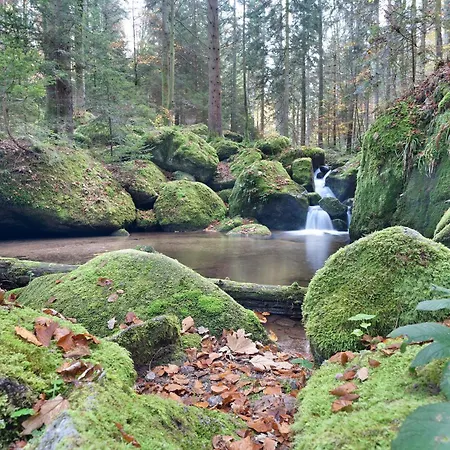 Ferienhaus Plaettig Dom wakacyjny Bühlertal